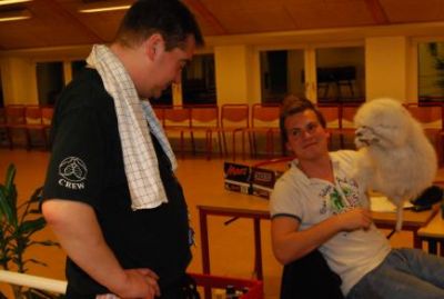 Imens beundre Loft, John's nye ræv
